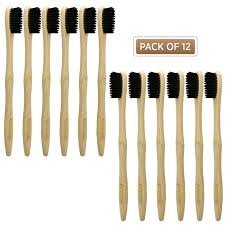 Standard Adult Medium Bristle Toothbrush (Pack of 12)