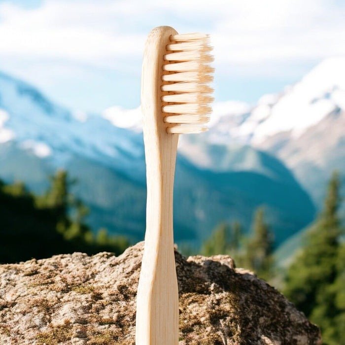 Bamboo_Toothbrush_Natural_Adult